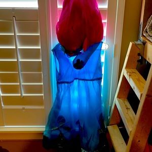 Trolls Poppy costume with wig